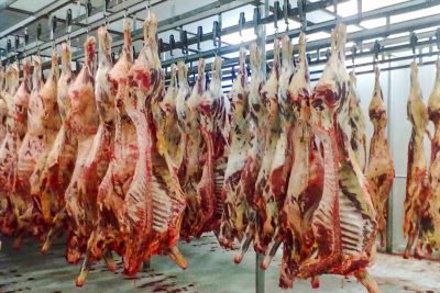 Carne bovina é destaque nas exportações de proteína animal em agosto